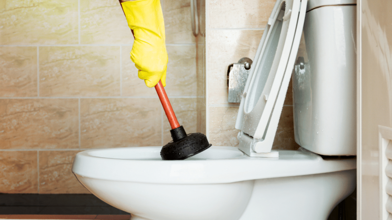 pulire bagno intasato pulire bagno intasato
