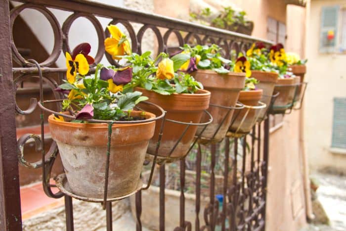 vasi sul balcone